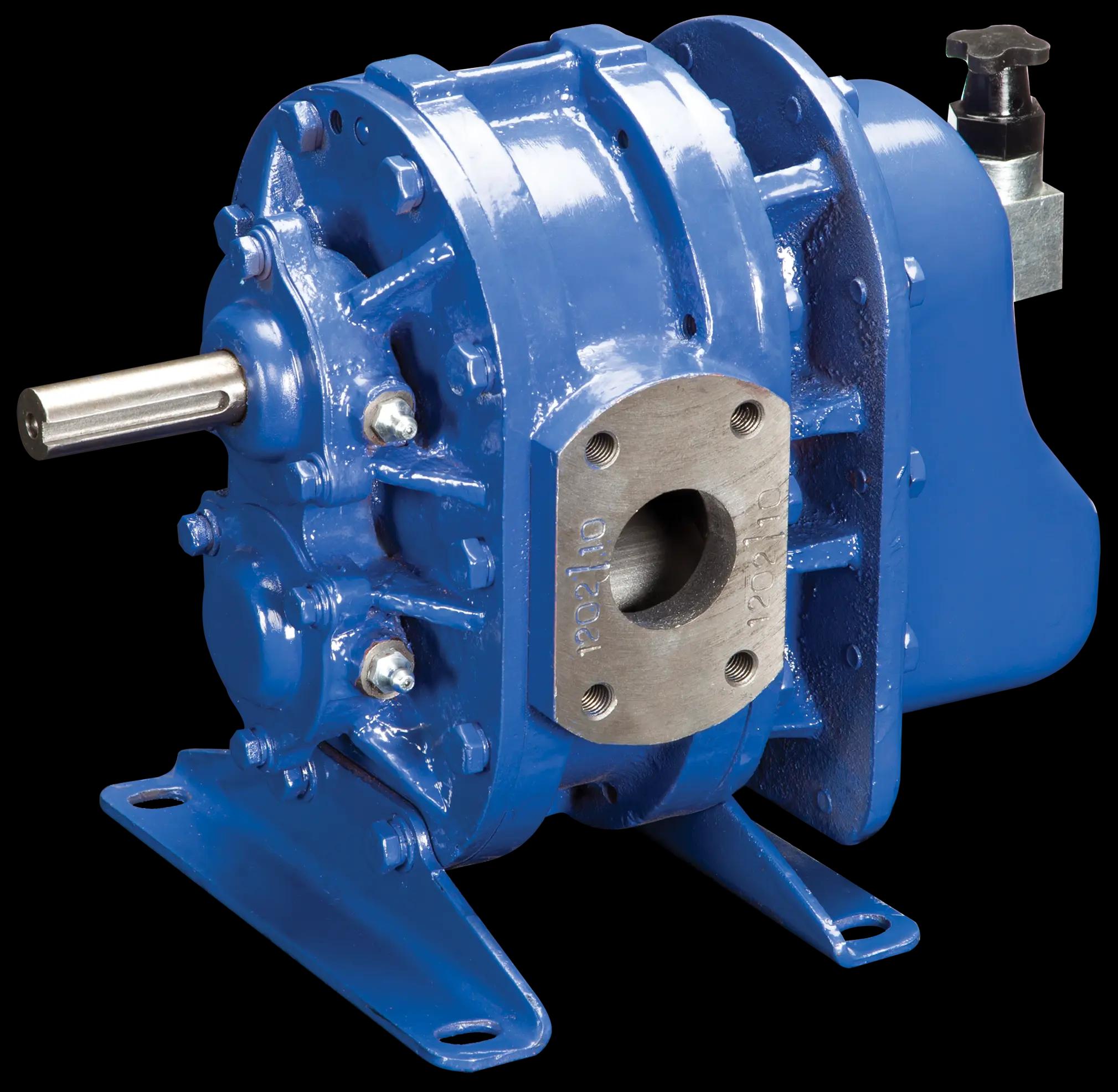 Twin Lobe Blowers