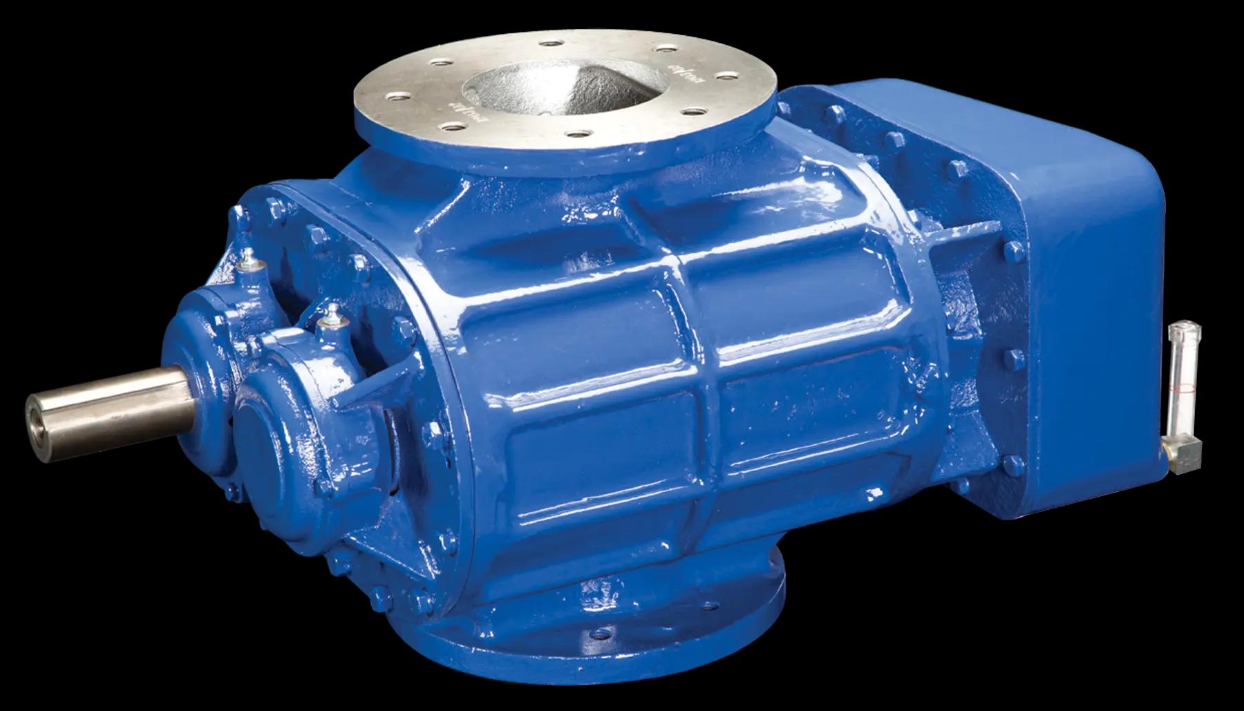 Twin Lobe Blowers