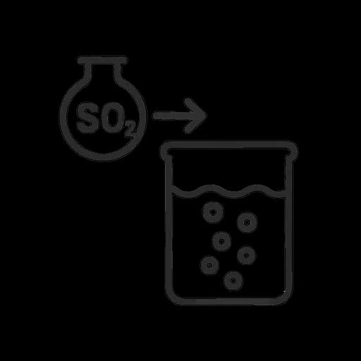 Sulphitation Process